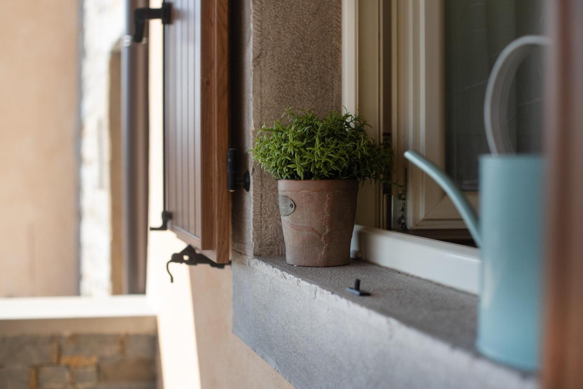 Appartamento Truffle House Karlic Buzet Esterno foto